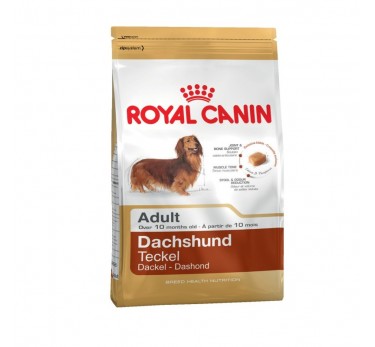 Royal Canin Dachshund для собак породы такса